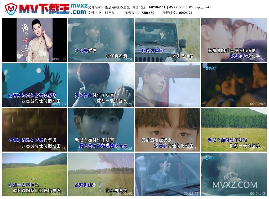 玺晨-泪往心里流_国语_流行_MD204151